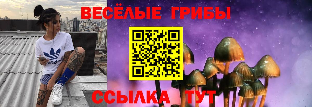 Галлюциногенные грибы мухоморы Рузаевка