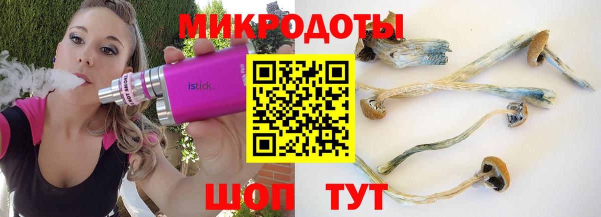 Галлюциногенные грибы Psilocybine cubensis  Вход с VPN  Рузаевка 